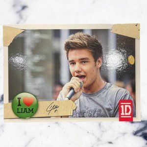 Official One Direction Trading Card Liam Payne #28
